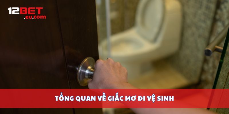 Tổng quan về giấc mơ đi vệ sinh