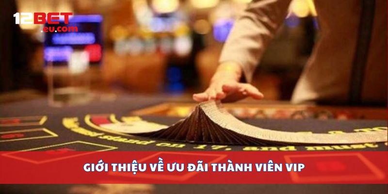 Giới thiệu về ưu đãi thành viên Vip